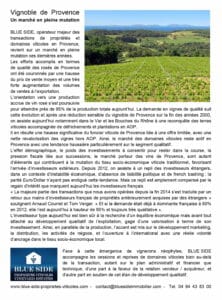 Vineyard of Provence
