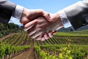 blue side, négociateur, médiateur, négociation, médiation, vente, vignoble, Provence, Languedoc, domaine viticole