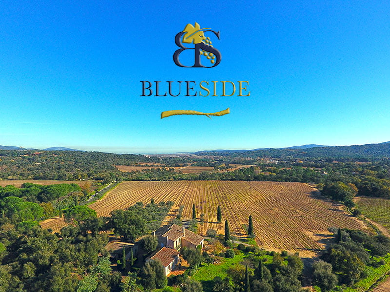 Blue Side vend le Domaine des Vallats - AOP Côtes de Provence