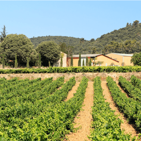 Image Domaine de Cantarelle