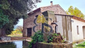 Wine estate