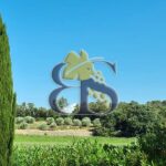 Domaine viticole Provence