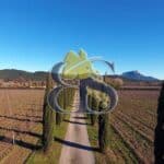 Vineyards, wine estate for sale