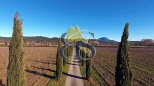 Vineyards, wine estate for sale