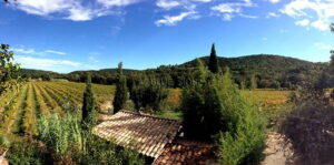 DOMAINE VITICOLE GOLFE ST TROPEZ 1