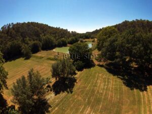 WINE GROWING ESTATE VAR 15