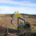 photo wine estate for sale