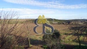 photo wine estate for sale