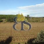 photo wine estate for sale