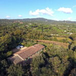 HOBBY VINEYARD IN THE HEART OF THE PENINSULA OF ST TROPEZ 1