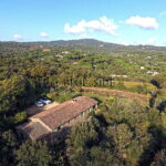 HOBBY VINEYARD AU CŒUR DE LA PRESQU’ÎLE DE ST TROPEZ 1