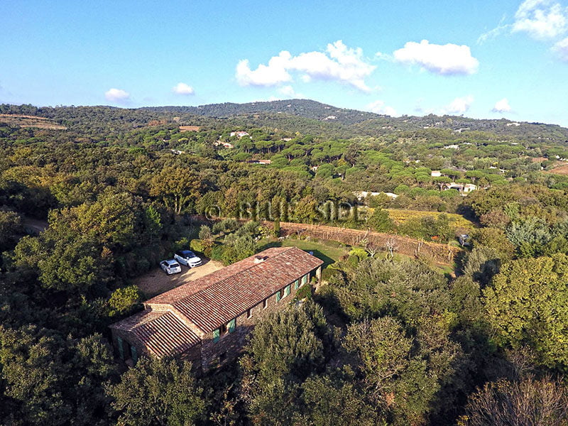 HOBBY VINEYARD IN THE HEART OF THE PENINSULA OF ST TROPEZ 1