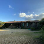 HOBBY VINEYARD IN THE HEART OF THE PENINSULA OF ST TROPEZ 3