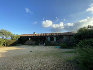 HOBBY VINEYARD IN THE HEART OF THE PENINSULA OF ST TROPEZ 3