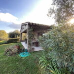 HOBBY VINEYARD IN THE HEART OF THE PENINSULA OF ST TROPEZ 4