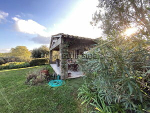 HOBBY VINEYARD IN THE HEART OF THE PENINSULA OF ST TROPEZ 4