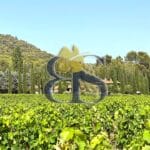 Purchase of a vineyard in the Var