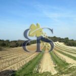 domaine viticole à vendre Côtes du Rhône