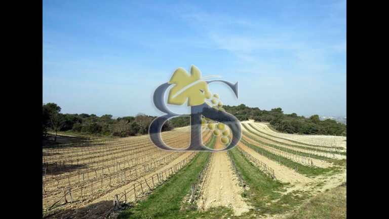 wine estate for sale Côtes du Rhône