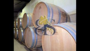 wine making red wine Côtes du Rhône