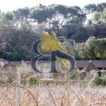 photo domaine viticole à vendre
