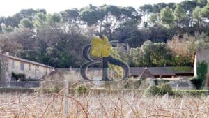 photo domaine viticole à vendre