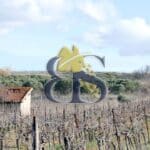photo domaine viticole à vendre