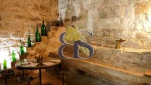 Domaine viticole