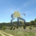 Paysage domaine viticole