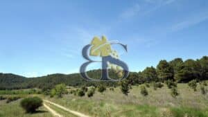 Paysage domaine viticole