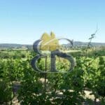 photo wine estate for sale