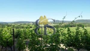 photo wine estate for sale