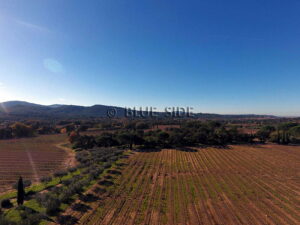 PROPRIÉTÉ VITICOLE GOLFE SAINT-TROPEZ 2