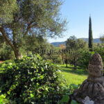 WINE PROPERTY GOLFE SAINT-TROPEZ 5