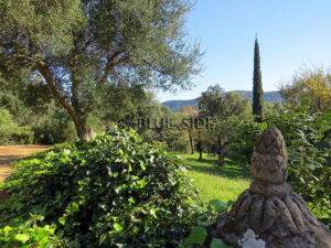 WINE PROPERTY GOLFE SAINT-TROPEZ 5