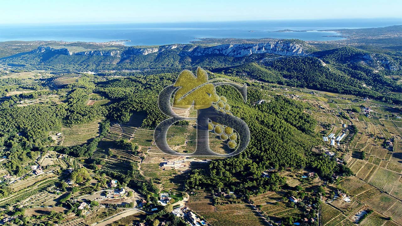 Aerial landscape - AOC Bandol