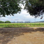 SALE LARGE VINEYARD LANGUEDOC 3