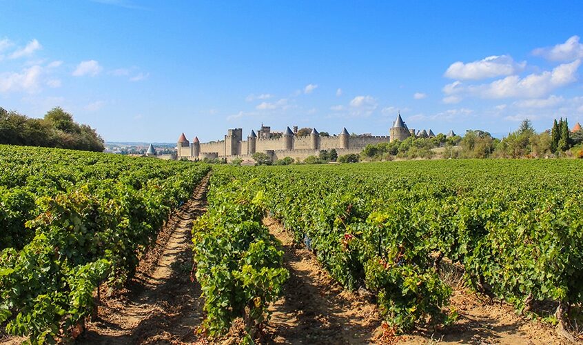 Vineyards and City of Carcassonne