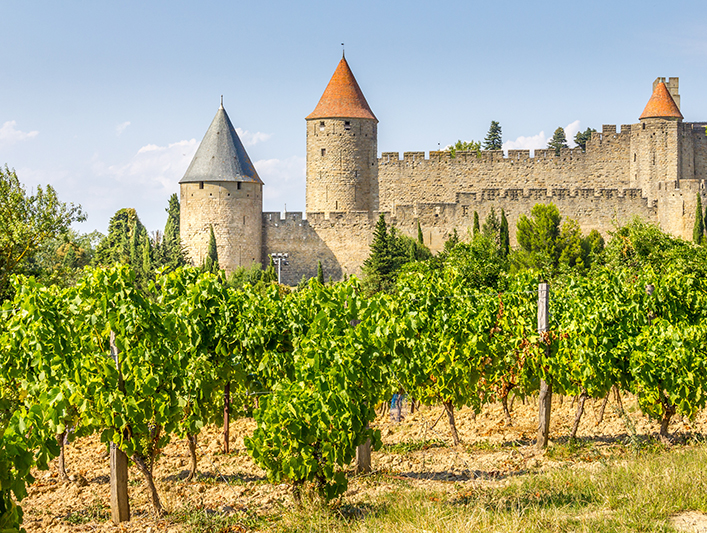 chateau and vineyards