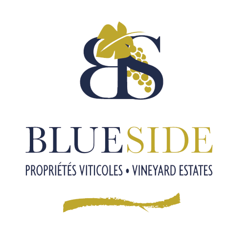 Blue Side logo