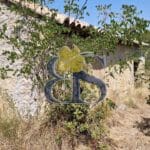 Domaine viticole