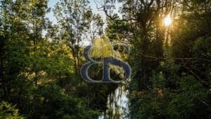 Wine estate for sale