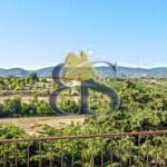 Wine estate for sale