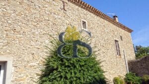Wine estate for sale