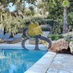 swimming pool in a vineyard for sale