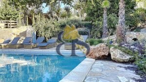 swimming pool in a vineyard for sale