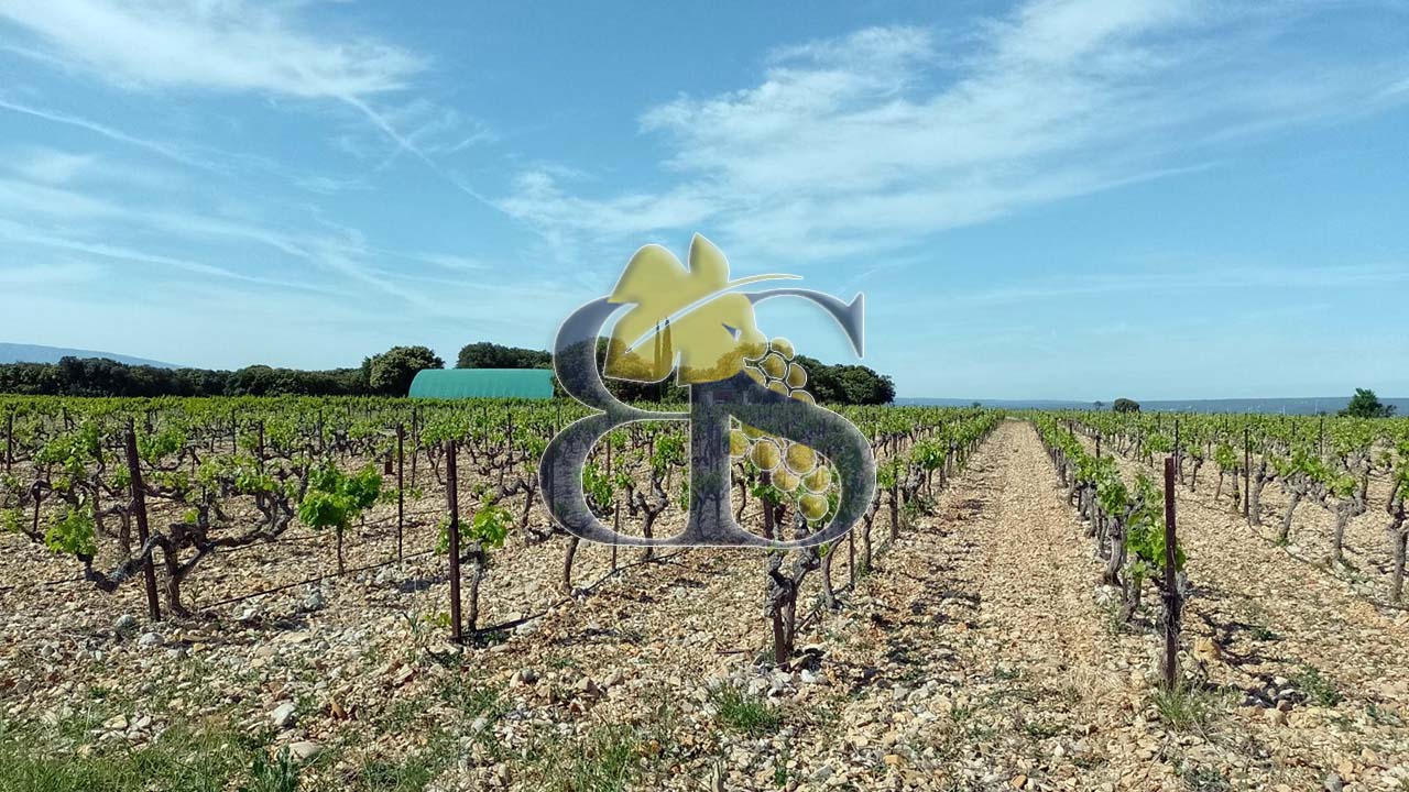 côtes du Rhône wine estate