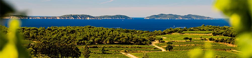 Actualités viticoles Provence