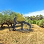 À vendre – Propriété viticole de charme au cœur de la Provence Verte