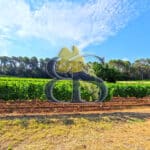 À vendre – Propriété viticole de charme au cœur de la Provence Verte